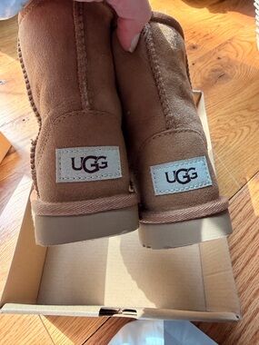 UGG Chestnut Sheepskin Lined Boot